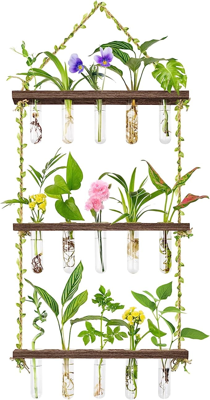3Tier Large Wall Hanging Plant Terrarium with Wooden Stand and Test