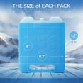 thumbnail image 5 of Everlasting Ice RX Large Reusable Ice Packs for Coolers with Handle, Long-Lasting Freezer Packs for Extended Cooling, 4-Pack, 5 of 6
