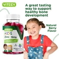 thumbnail image 5 of VITEEY Kids Zinc Gummies 15mg, Kids Immune Support Zinc Supplement, Berry Flavor, 120 CtVITEEY Kids Zinc Gummies 15mg, Kids Immune Support Zinc Supplement, Berry Flavor, 120 Ct, 5 of 7