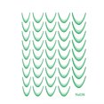 thumbnail image 3 of Kokovifyves Nail Art Stickers Nail Stickers Solid Color French Gradient Nail Stickers Back Adhesive, 3 of 3