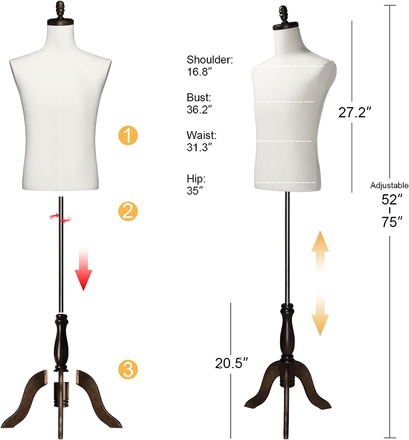 Bonnlo Male Dress Form, Male Mannequin Adjustable Height Torso Body Display and Sewing with Wooden Stand