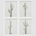 thumbnail image 3 of PixonSign Framed Southwest Saguaro Desert Cactus Wall Art, Set of 4 Nature Wilderness Succulents Plants Wall Prints, Botanical Floral Wall Décor, Modern Relax Clam Home Artwork - 11"x14" White, 3 of 5
