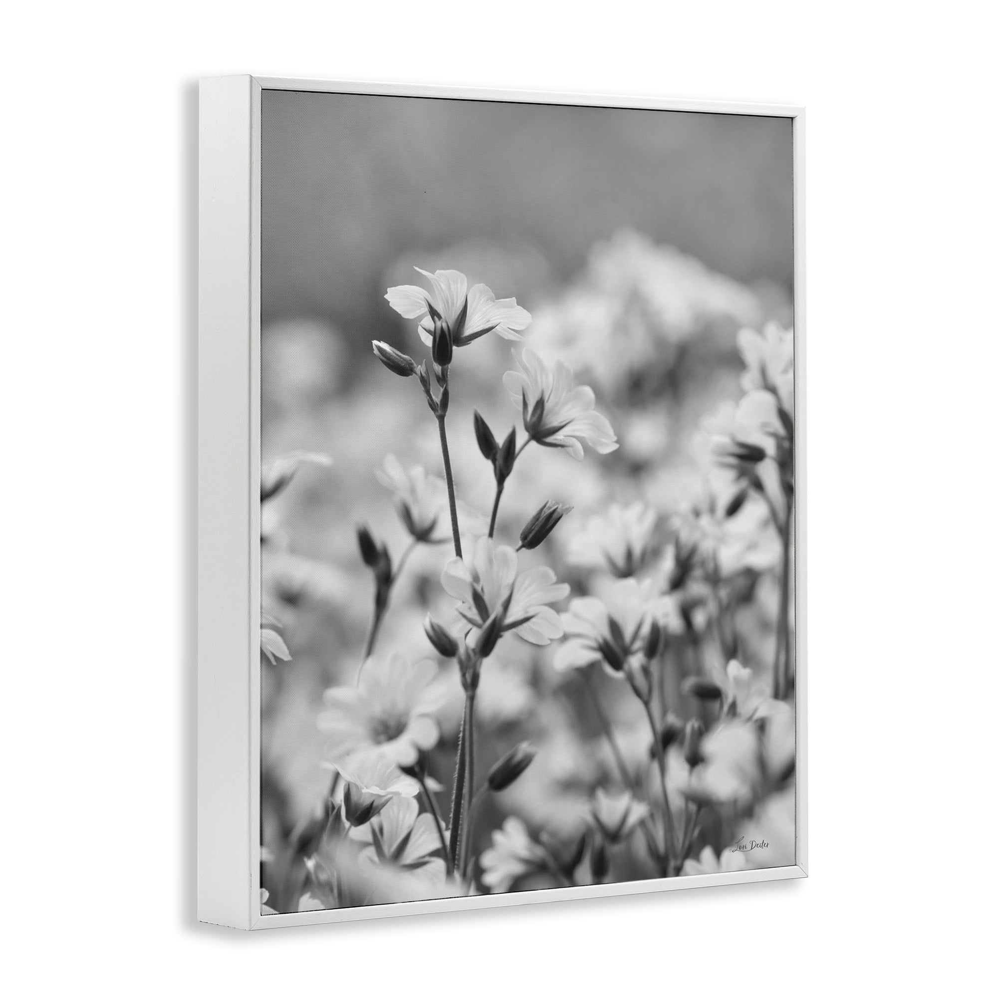 Stupell Industries Budding Meadow Flora Botanical & Floral Photography White Framed Art Print Wall Art, 24 x 30