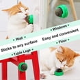 thumbnail image 2 of 3 Silvervine Catnip Balls, Edible Kitty Toys For Cats Lick, Safe Healthy Kitten Chew Toys, Teeth Cleaning Dental Cat Toy, Cat Wall Treats, 2 of 4