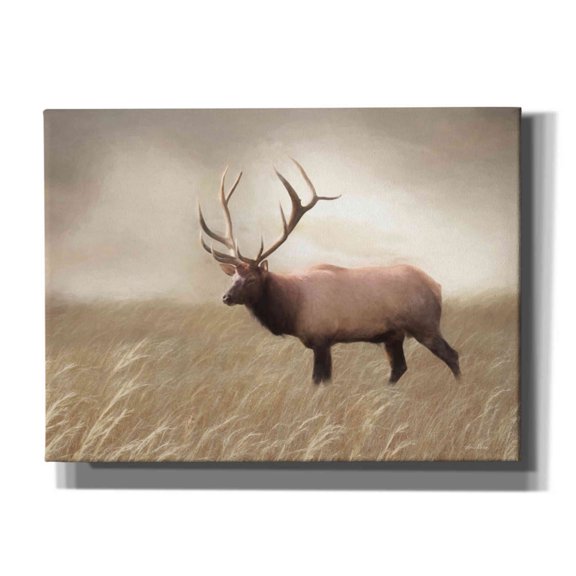 Epic Graffiti 'Elk in the Field' by Lori Deiter, Canvas Wall Art, 54"x40"