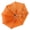 Orange, variant on Kids Umbrella Lovely Cartoon Animal Easy Operation Light Weight Girls Umbrella for Raining Clear Day, Yellow, 30.31 inches / 77 cm Diameter