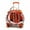 Orange, variant on Pet Trolley Case Clear Ventilation Holes Silent Wheels Convenient Portable Cats Dogs Backpack for Travel  Lanzxjv