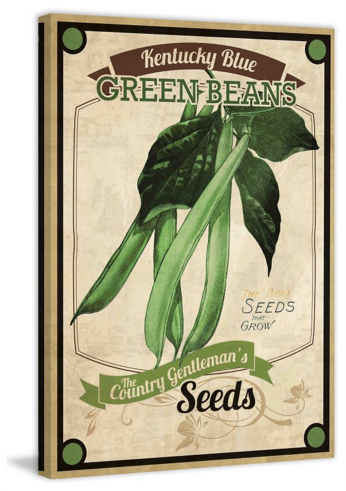Marmont Hill "Seed Packet Green Beans" Painting Print on Canvas