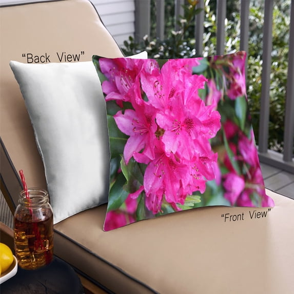 Ahgly Company Color Focus Pink Outdoor Throw Pillow, 18 inch by 18 inch