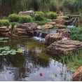 thumbnail image 3 of AquascapePRO 77000 Cascade - Diffuseur, 3 of 9