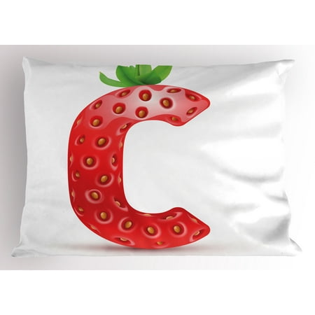Uppercase Greek Alphabet Letter C Pillow Sham Strawberry Letter from Alphabet with Green Leaves Seeds Uppercase C, Decorative Standard Queen Size Printed Pillowcase, 30 X 20 Inches, Vermilion Green Orange, by Ambesonne ()