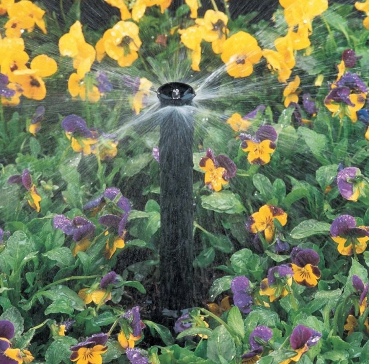 (25) Rain Bird 4VAN Sprinkler Spray Nozzle 4' Radius Adjustable Arc (330°)