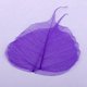 thumbnail image 5 of Variedad de hojas secas de eucalipto para la fabricación de papel de bricolaje. Hoja de bodhi, 5 of 9