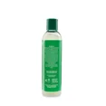 thumbnail image 2 of Camille Rose Rosemary Strengthening Leave In Conditioner, 8 Oz., 2 of 6