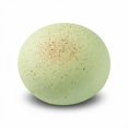 thumbnail image 3 of Slow Rising Squishy Toy with Ultra Soft Sticky Texture, Single, Mint Green Steamed Bun Design, for Kids and Adults, Squeeze Toy, 3 of 3