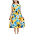 thumbnail image 2 of SGFCWSX Girls Casual Swing Dress Graphic Print Sleeveless A-Line Summer Midi Sundress Sky Blue Size 2-3 Years, 2 of 5
