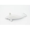 thumbnail image 6 of Whale, Beluga Baby, White Whale, Calf, Museum Quality, Rubber, Hand Painted, Realistic Toy Figure, Model, Replica, Kids, Educational, Gift, 5" CH331 BB133, 6 of 8