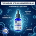 thumbnail image 6 of Skin Perfection Antarcticine DIY Serum Booster, Marine Glycoprotein Add-In, 0.5 oz, 6 of 12