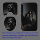thumbnail image 4 of Juego de 4 cortinas de ducha afroamericanas, diseño de animales de safari del Rey León, mujer afroamericana, reina melanina, niña negra, decoración de baño, cortina de ducha de tela impermeable,, 4 of 7