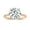 Rose Gold, variant on IGI Certified 2.50 Carat Solitaire Round Lab Grown White Diamond Textured Shank Engagement Ring for Women in 18K Solid Rose Gold, Size 7