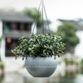 thumbnail image 3 of suyin Hanging Plant Basket Outdoors Hanging Flower Pots With Drainage, 3 of 7