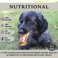 thumbnail image 3 of K9 Connoisseur Single Ingredient Dog Bones Made In USA Natural Marrow Filled Dynamo Bone Chew Treats For Small To Medium Breed Aggressive Chewers Dogs - Best Up To 50 Pounds 3 Pack, 3 of 6