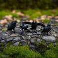 thumbnail image 4 of Mcphee Archie Murder of Crows Figures  Set of 4, 4 of 7
