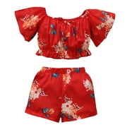 Toddler Girl Outfits Summer Set Floral Print Short Sleeve Pleated Casual Croed Tops Floral Shorts Two Pieces Bodysuit