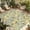 Light Yellow Light Green, variant on Pink Flowers Outdoor Rug for Patio/Deck/Porch, Non-Slip Large Area Rug 5 x 8 Ft, Romantic Botanical Floral Leaves Plants Indoor Outdoor Rugs Washable Area Rugs, Reversible Camping Rug Carpet Runner