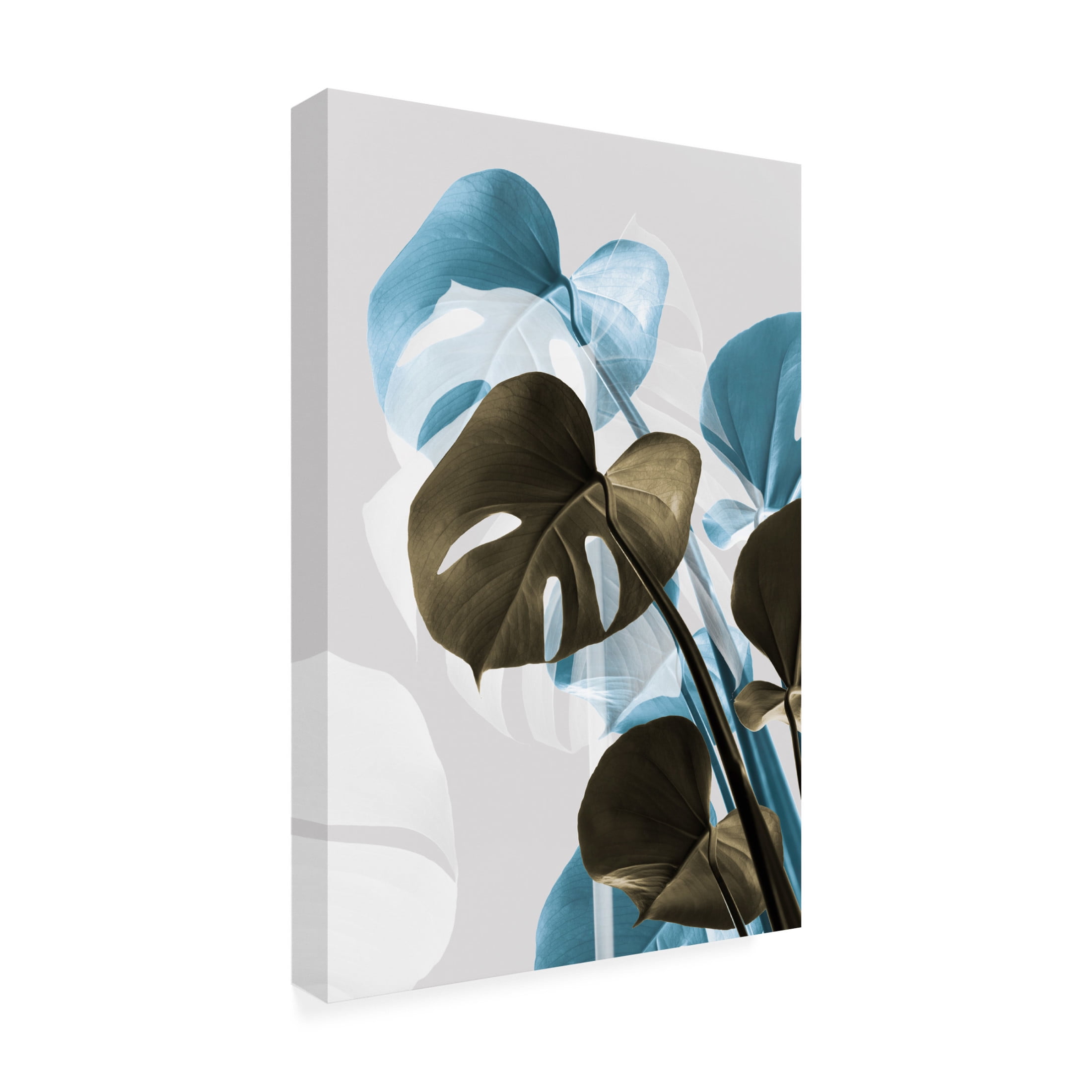 Trademark Fine Art Pictufy Studio Monstera Creative 13 Canvas Wall Art