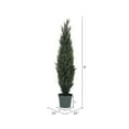 thumbnail image 2 of Vickerman 6' Artificial UV Resistant Pond Cypress Tree in Two Tone Green Pot., 2 of 3