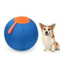 thumbnail image 1 of Pelota Interactiva para Perros Fernando Juguete de Entrenamiento 45 cm, 1 of 8