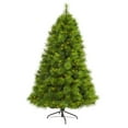 thumbnail image 2 of Nearly Natural 6.5ft. Green Scotch Pine Artificial Christmas Tree with 350 Clear LED Lights, 2 of 8