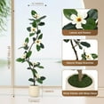thumbnail image 4 of ChaoLink 5ft Rubber Tree Artificial Plant in White Planter, Faux Floor Plant with 7 Magnolia Flowers, Indoor Home Decor, 4 of 5