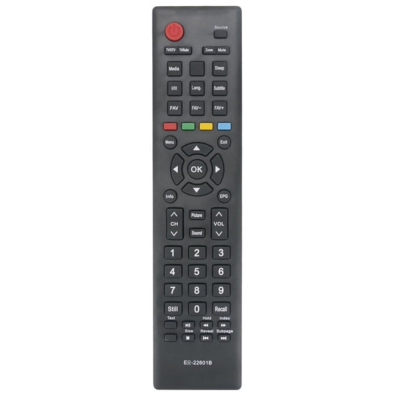 ER-22601B Replace Remote for Hisense TV L24K20D HL32K20D 24E33 32D33 32D36 40D50