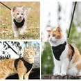 thumbnail image 6 of Cheapark Cat Leash Adjustable Soft Breathable Vest Harness Thickened Escape Proof For Walks Travel Outdoor Use, 6 of 6
