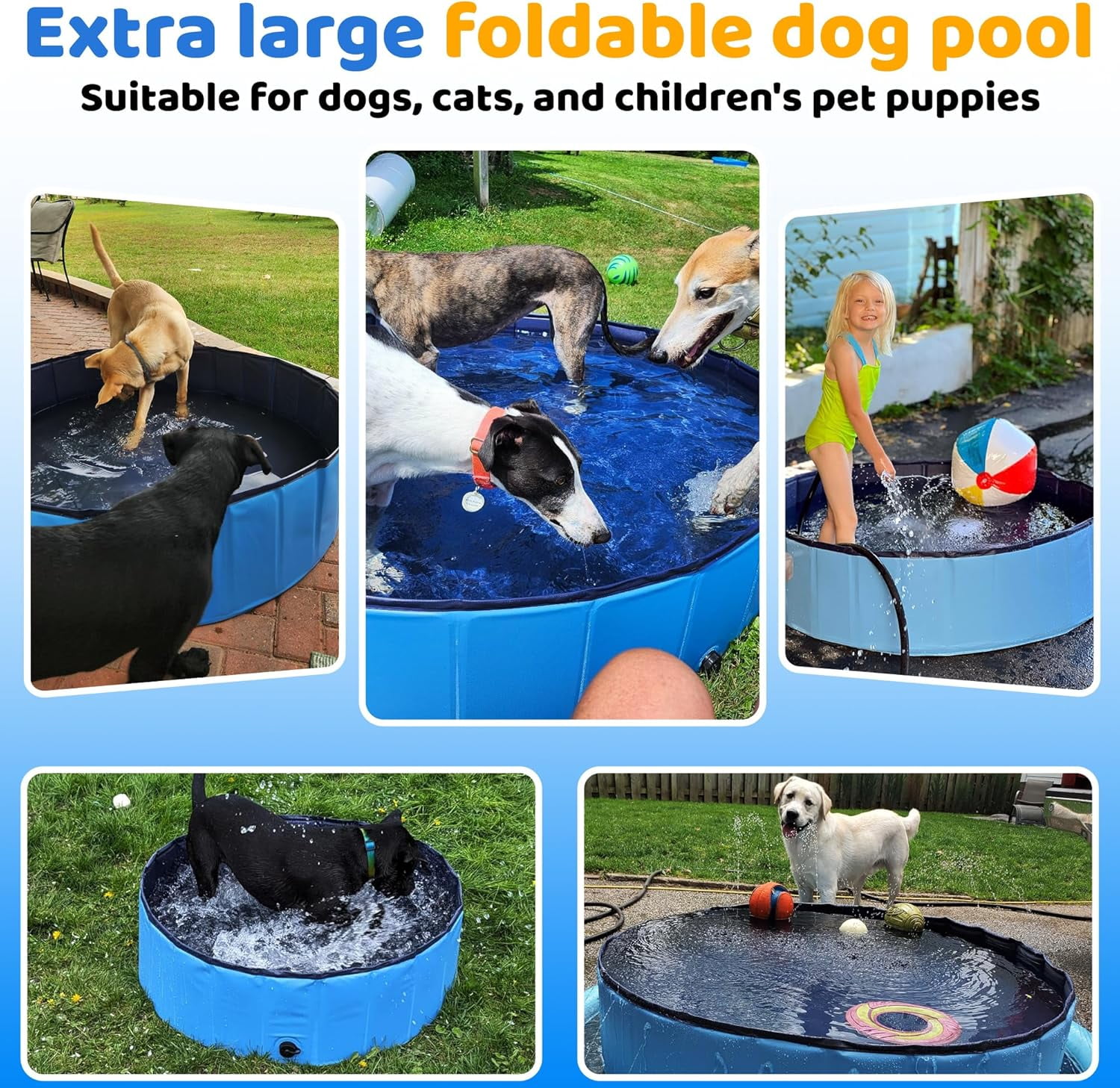 Foldable Dog Pool, 71" x 12" Large Kiddie Pool with Hard Plastic, Non-Slip Dog Bath Tub for Outdoor Backyard, Collapsible Dog Swimming Pool for Kids Dogs Pets (Blue)
