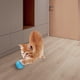 thumbnail image 4 of Smart Cat Ball Juguetes interactivos Funny Rolling Ball USB Recargable Suministros para mascotas Hugtrwg Para estrenar, 4 of 9