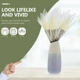 thumbnail image 3 of Shisuyan Simulated Pampas Grass Beige 10Pcs 27.6x1.2in, 3 of 8