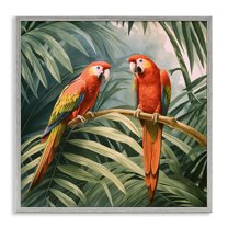 Stupell Industries Parrot Duo in Rainforest Animals Painting Gray Framed Art Print Wall Art, 12 x 12