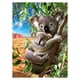 thumbnail image 1 of Rc. Premium Edition 500 Pzs, Cachorro de koala WUUNDENTOY Wuundentoy 3811, 1 of 7