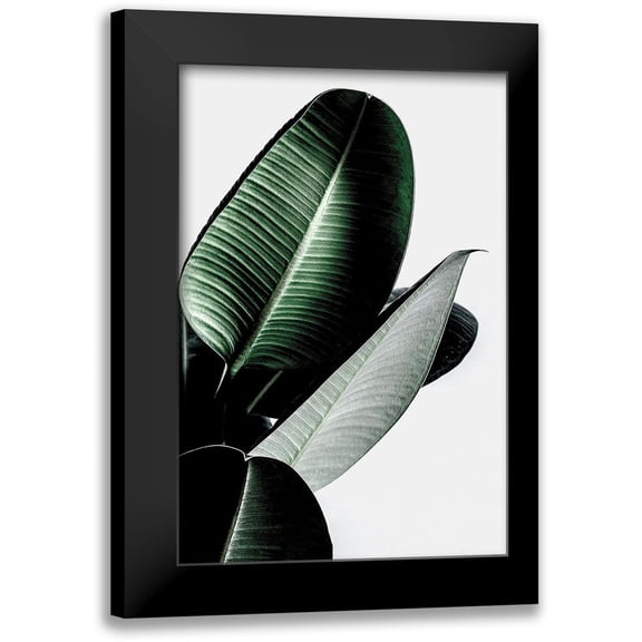 Incado 11x14 Black Modern Framed Museum Art Print Titled - Leaves