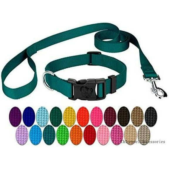 Country Brook Petz - Vibrant 25 Color Selection - Deluxe Nylon Dog Collar And Leash (Small, 3/4 Inch Wide, Teal)