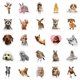 thumbnail image 5 of 50 pegatinas de animales, pegatinas de animales con fotos, los estudiantes de niños conocen el mundo animal real, impermeables, 5 of 5