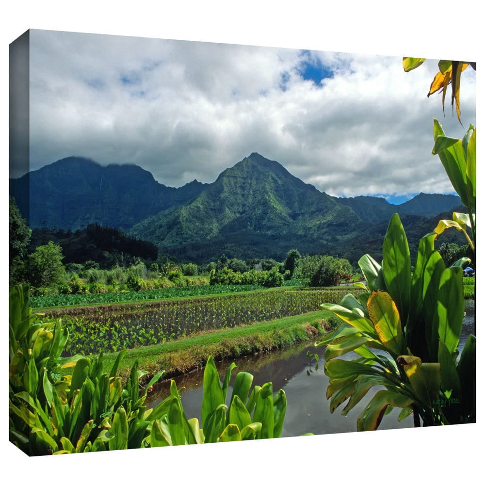 ArtWall Kathy Yates "A Taro Farm In Hanalei" Gallery-Wrapped Canvas