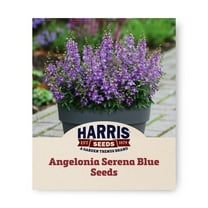 Harris Seeds 401405 Angelonia Plant Seeds, True blue excellent color