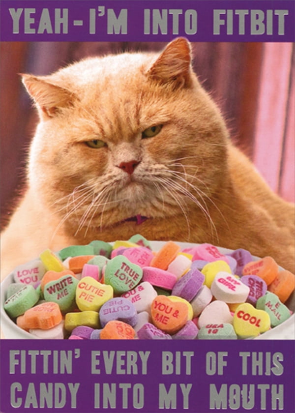 Snowman craft! did this craft with 2 year olds! Recycled Paper Greetings Cat Into Fitbit Funny / Humorous Valentine's