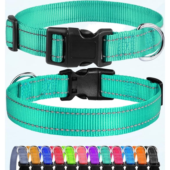Reflective Dog Collar, Sturdy Nylon Collar for Puppies and Extra Small Girls and Boys Dogs, Adjustable Dog Collar with Quick Release Buckle, Turquoise, 3/8" Wide