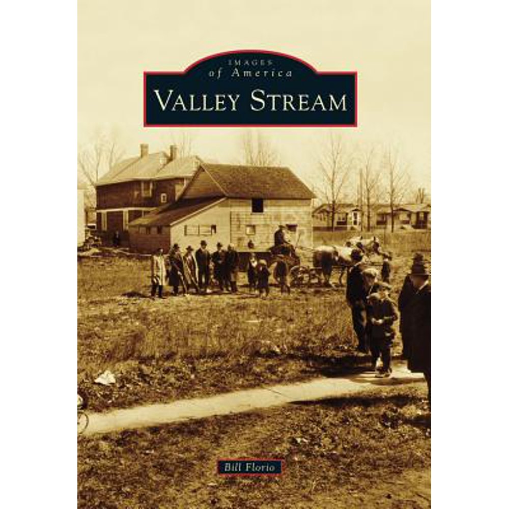 Valley Stream (Paperback)
