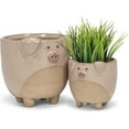 thumbnail image 3 of Abbott Collection 27-CRITTER-838-SM Small Pig on Legs Planter, Pink, 3 of 3